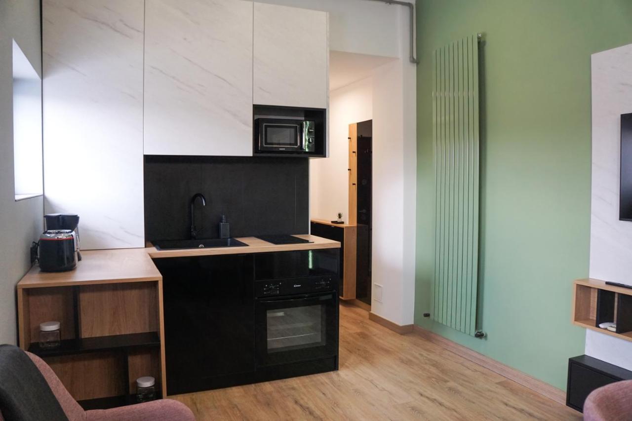 Green Sunnyside Studio - Central Location Bucharest Luaran gambar